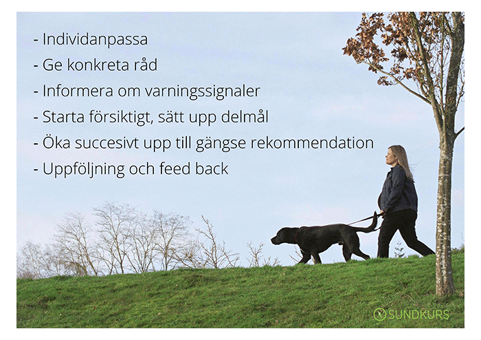 Text med råd om riskfri rådgivning om fysisk aktivitet, kvinna med hund på promenad