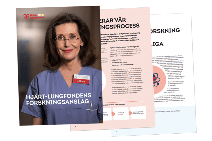 Omslag till folder om Hjärt-Lungfondens forskningsanslag 2024