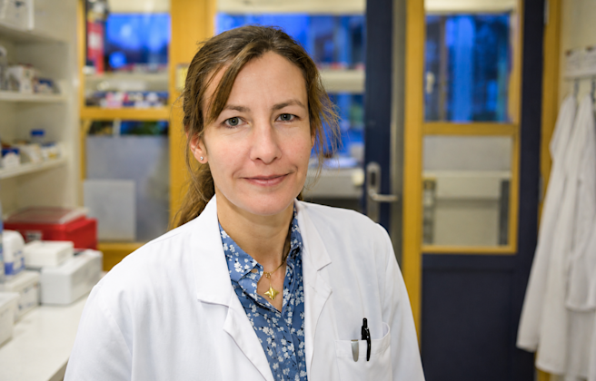Karin Tran Lundmark ansvarar för barnhjärttransplantationsverksamheten på Skånes universitetssjukhus och forskar vid Lunds universitet.