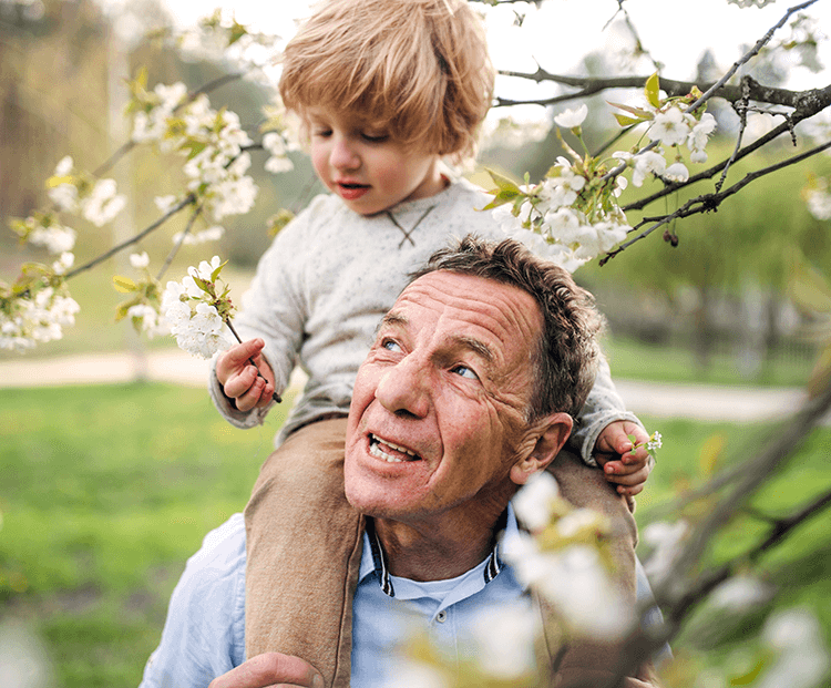 Pojke sitter på en äldre mans axlar under ett körsbärsträd
