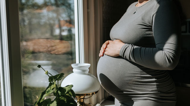 Gravid kvinna står mot ett fönster i solen, hon har en grå långärmad klänning på sig.