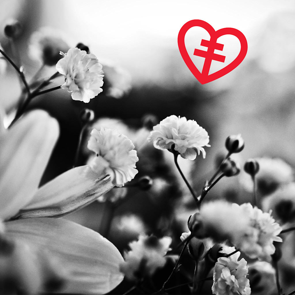 Blommor, svartvit bild.