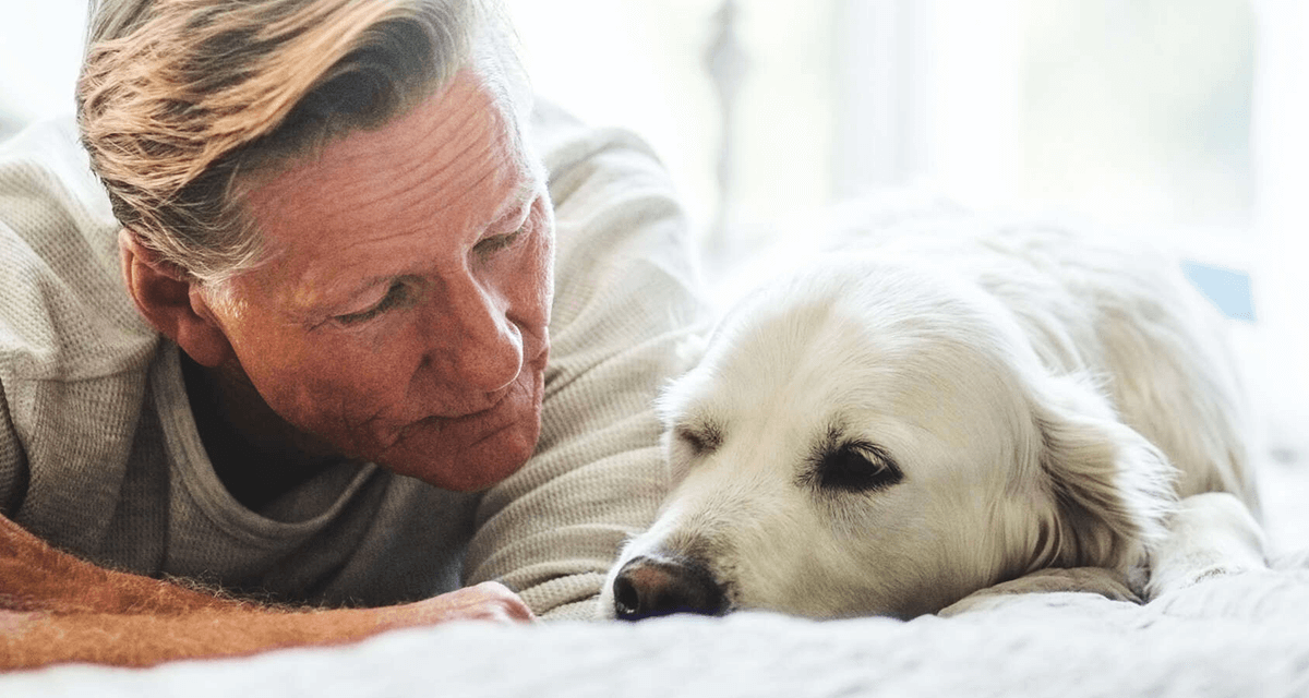 Man och hund ligger i en säng