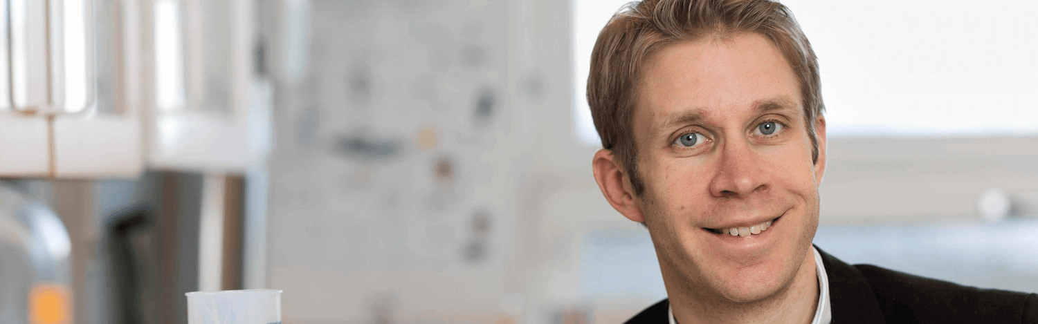 Anders Rosengren, Professor