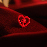 Hjärt-lungfonden pin