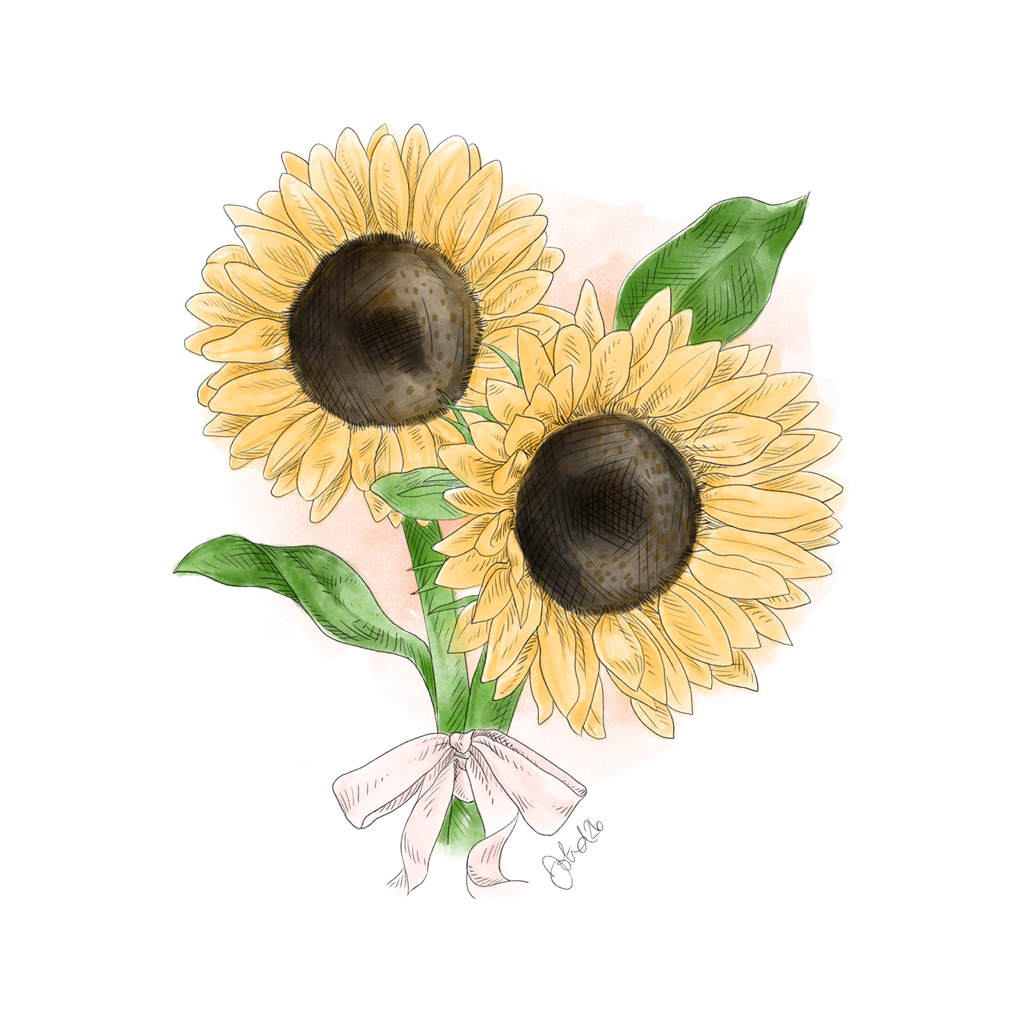 Solrosor illustrationer