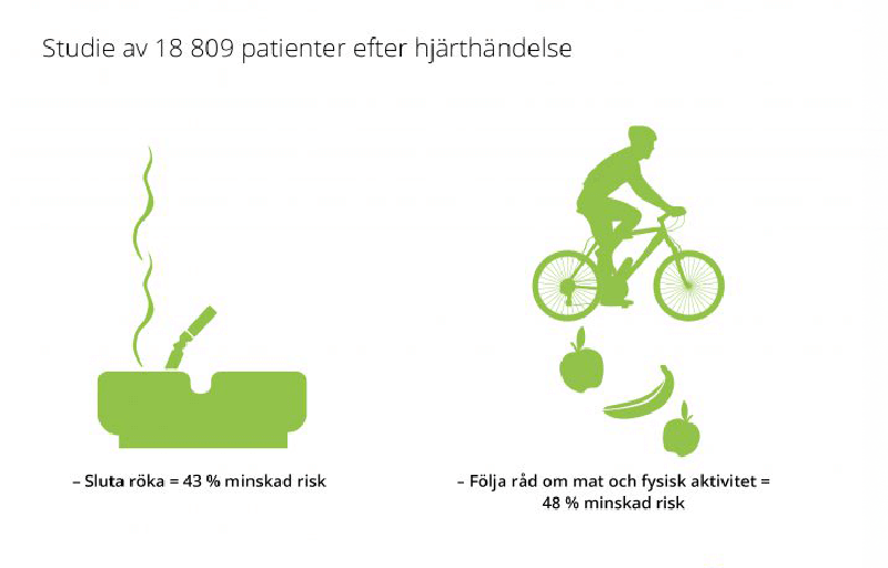 Hälsa - sundkurs - livsstilens betydelse - del 11