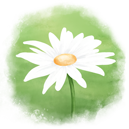 Prästkrage illustration