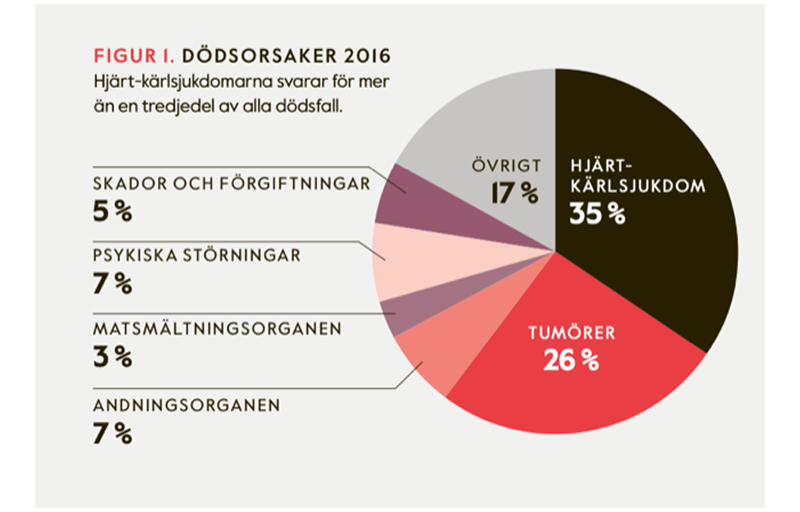 Sundkurs – Dödsorsaker och sjukdomsbörda i Sverige