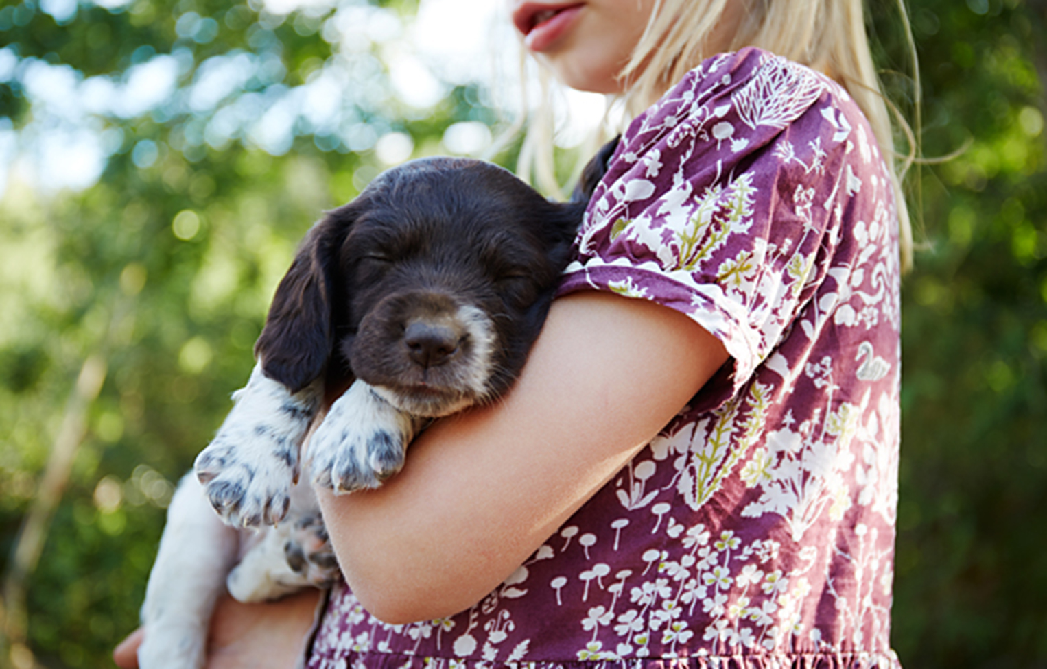 Barn med hund - bildbyrå 1526 x 976 px 