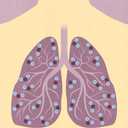 Illustration med lunga som symboliserar lungsjukdomen KOL