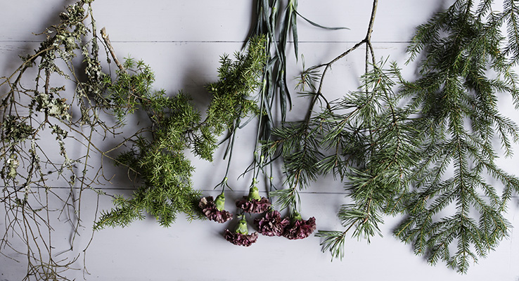 Vintergröna kvistar på vitt trägolv.