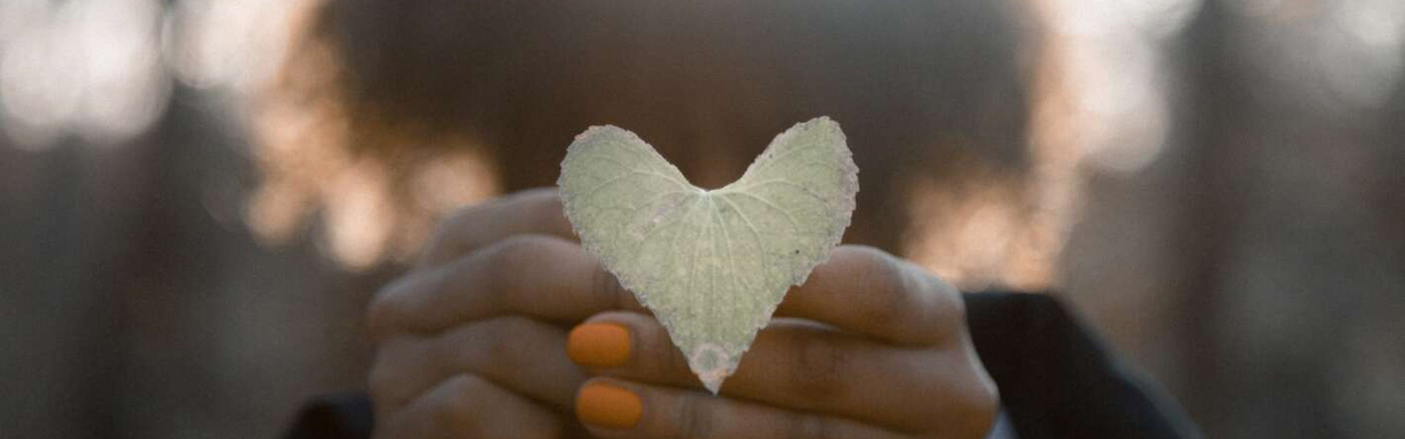 Händer håller hjärta av löv