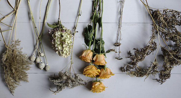 Torkade blommor och gula rosor till höstbukett.