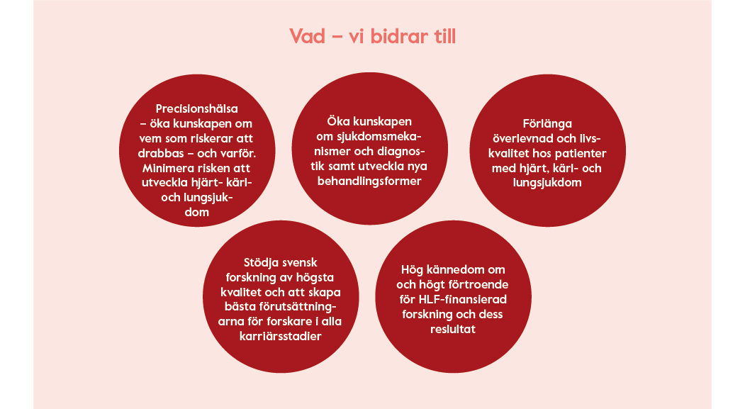 Forskningsstrategi: Vad vi vill bidra till – två fokus