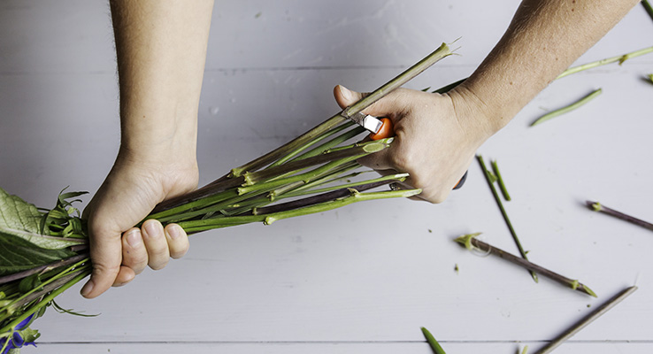Florist som skär stjälkar med en sekatör.