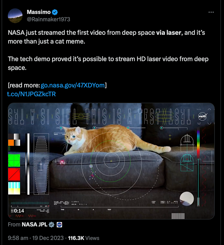 Cat Meme from Space