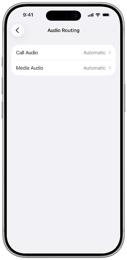 iPhone Audio Routing — Call Audio and Media Audio set to Automatic