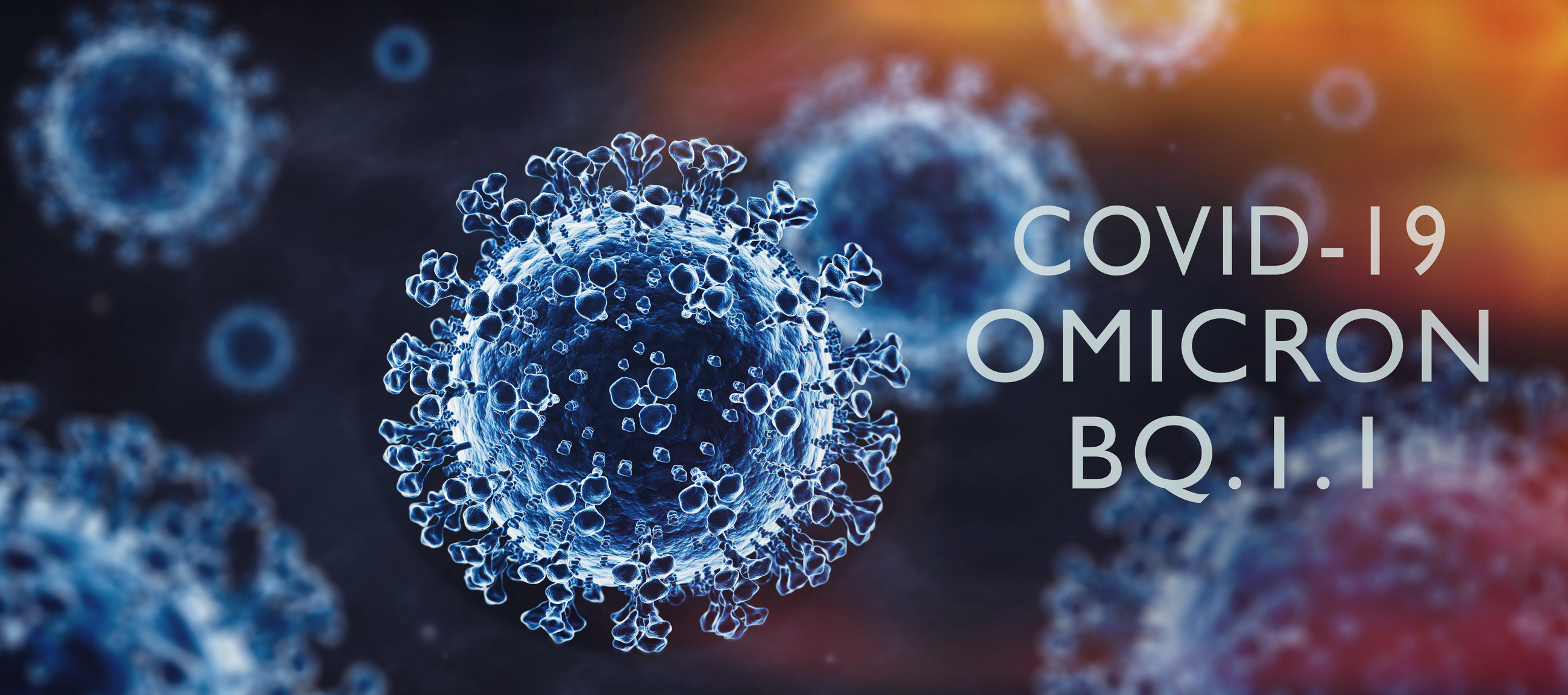 Image of COVID-19 Omicron BQ 1.1 virus