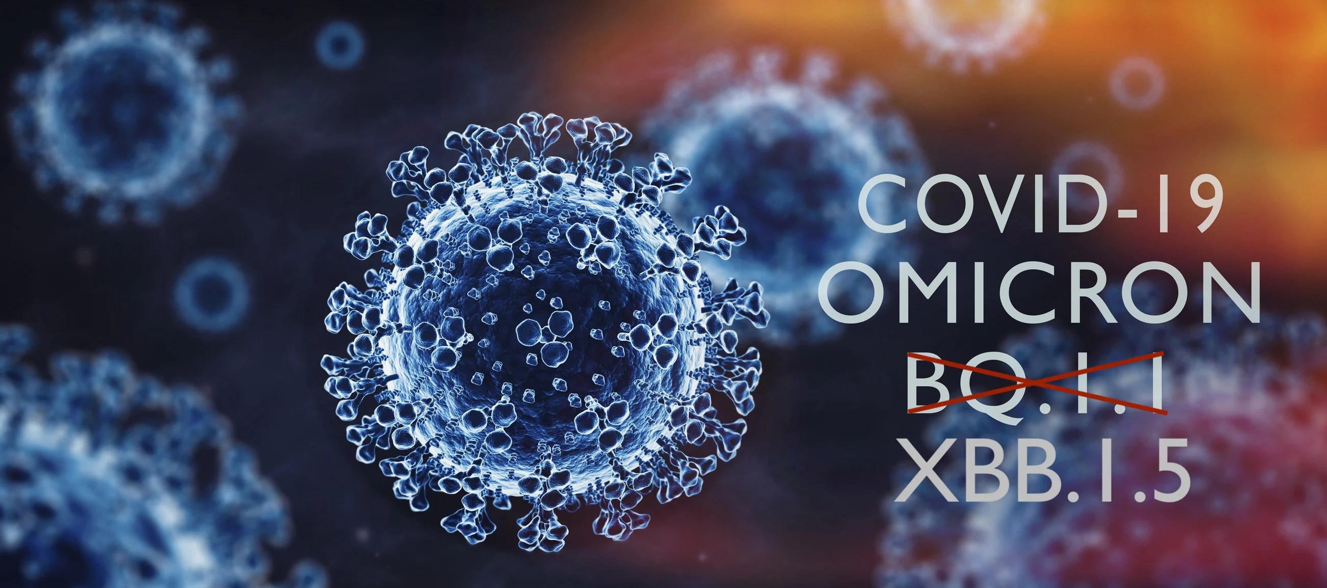 Image of COVID-19 Omicron XBB.1.5 virus