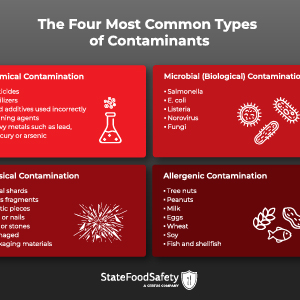 Learn about the four main types of food contaminants, including chemical contamination, microbial contamination, physical contamination and allergenic contamination, and examples of each. 