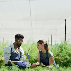 Understanding What GMO and Non-GMO Mean for Food Safety