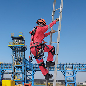 Safety Requirements and Tips for Ladders