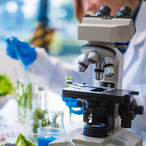 Understanding Food Contamination: What Food Handlers Should Know and How to Prevent It