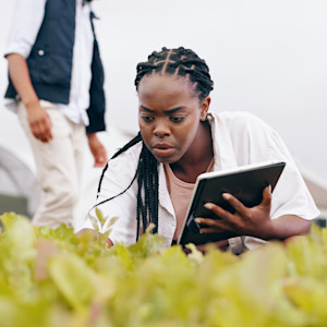 Food Traceability Systems: What They Are and Why They Matter