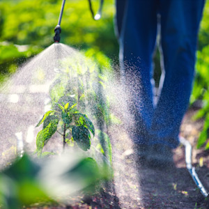 Chemical Hazards in Food: Types, Sources and Prevention