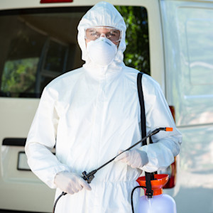 Why You Should Always Use a Licensed Pest Control Service