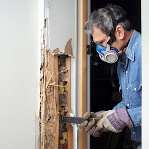 Man removing termite damaged wood from wall
