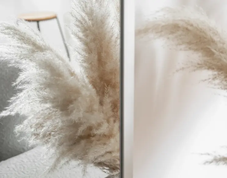 Zbliżenie na dekoracyjną trawę pampasową ustawioną przy kanapie Arcadova II, w jasnym wnętrzu o miękkim, naturalnym świetle.