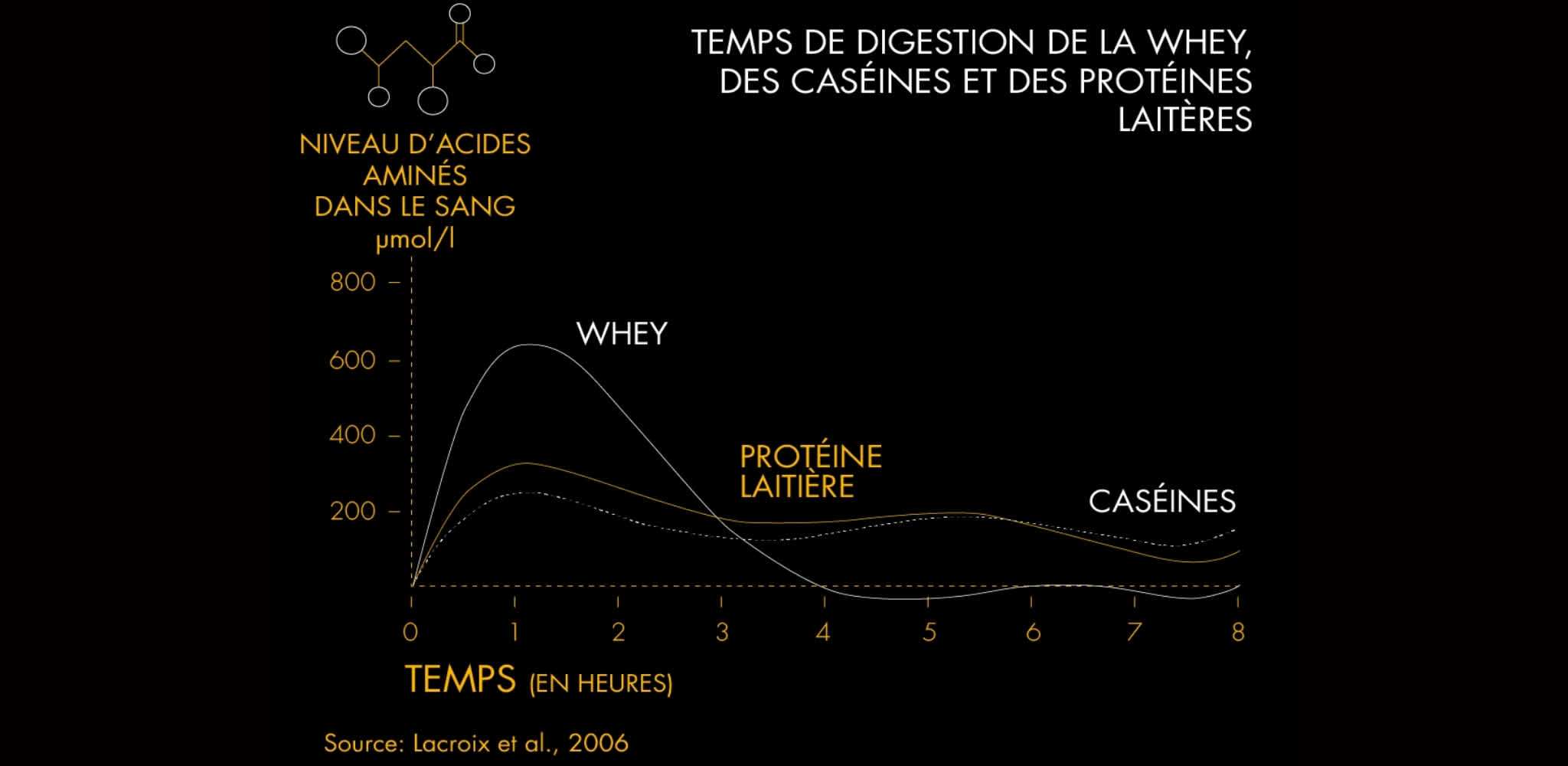 Infographie temps de digestion de la whey des caséines et des protéines laitières - HiPRO