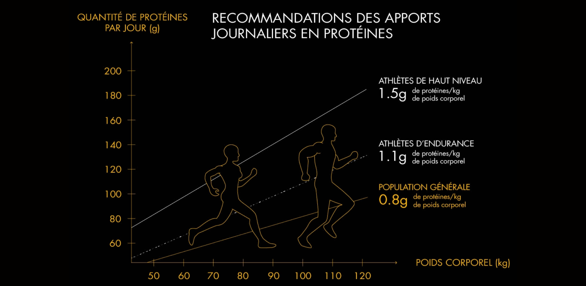 Infographie Recommandation des apports journalier en protéines - HiPRO