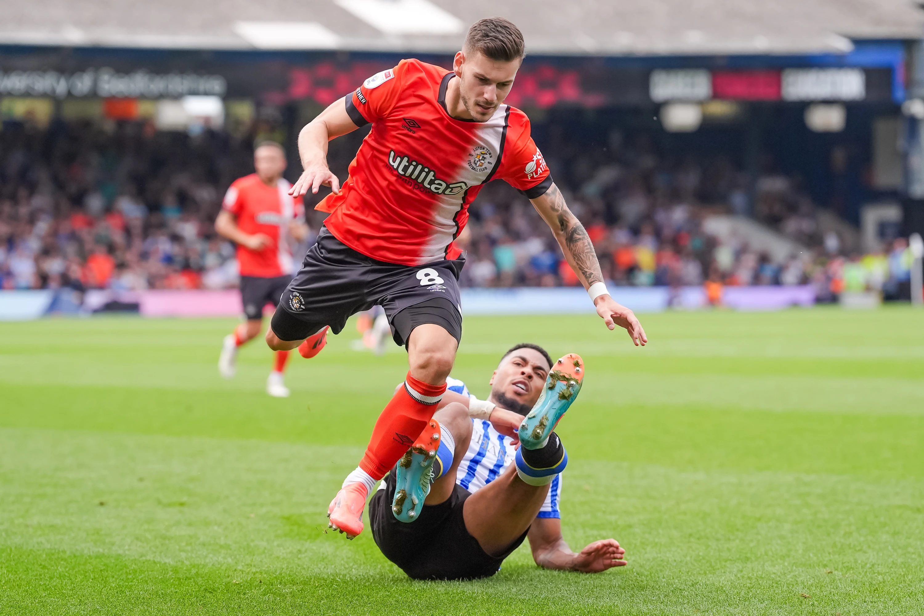 Tom Krauß in action against Sheffield Wednesday on his Luton debut