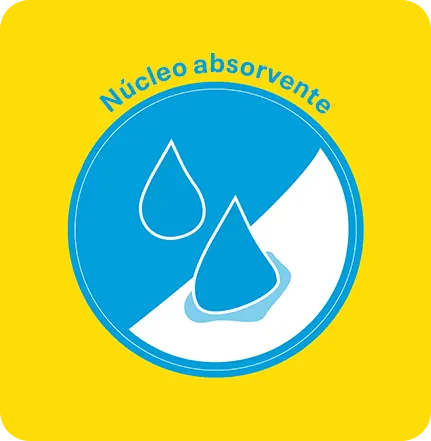Núcleo absorvente