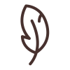 Leaf Icon