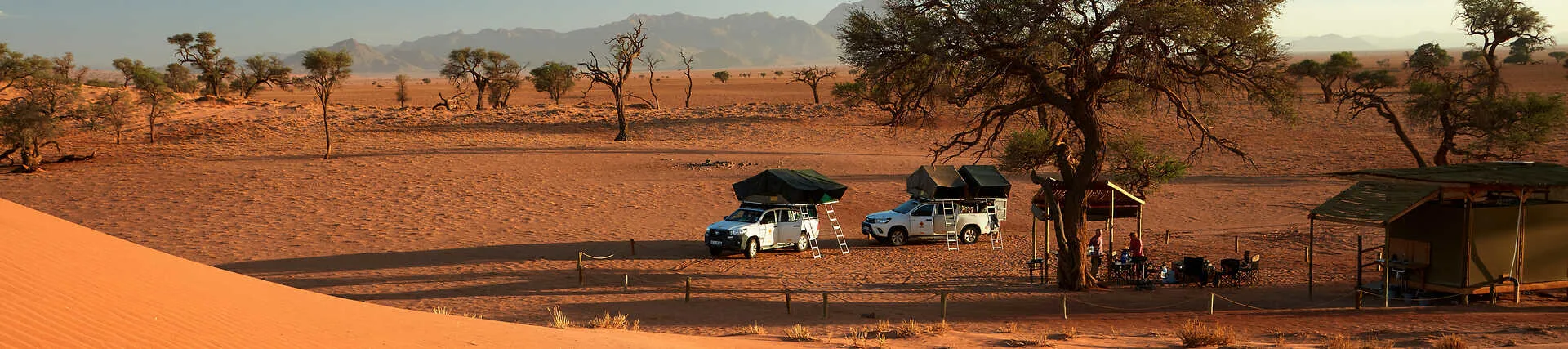 Safari in der Namib-Wüste
