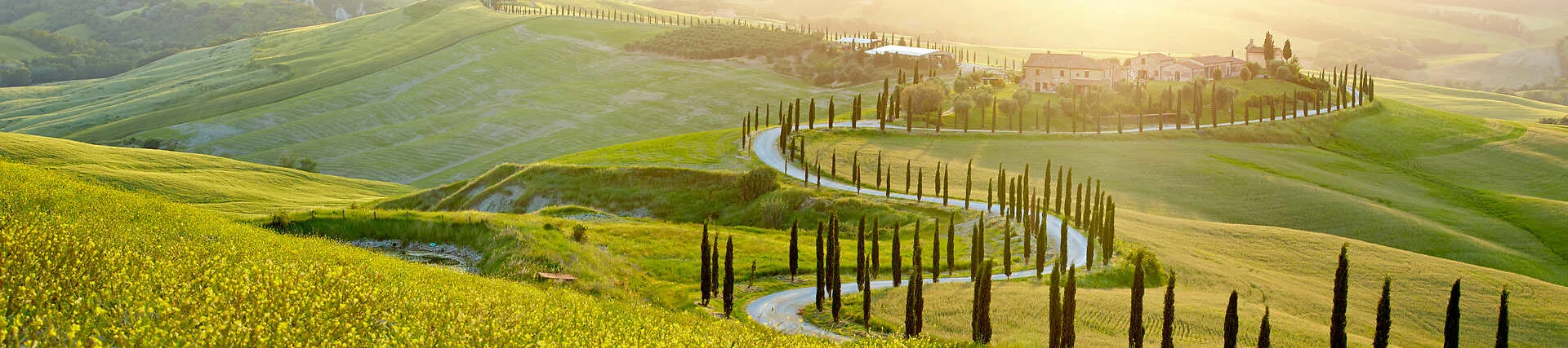 Toskana, Italien: Malerische Landschaft mit Zypressen und sanften Hügeln.