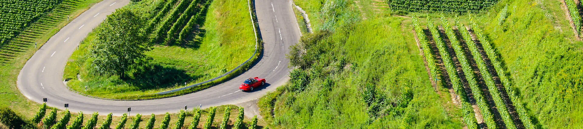 Deutsche Weinstraße Cabrio-Roadtrip – Kurvenfahrt durch Weinberge.