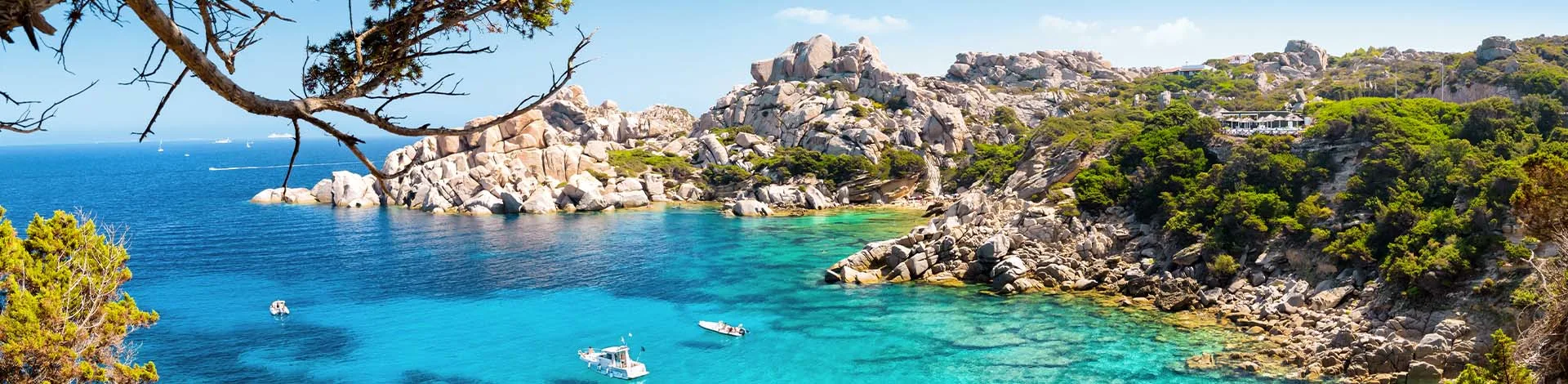 A panoramic view of the coastline at Capo Testa in Sardinia, featuring turquoise waters, rocks, boats, and vegetation, framed by a juniper branch in the foreground.