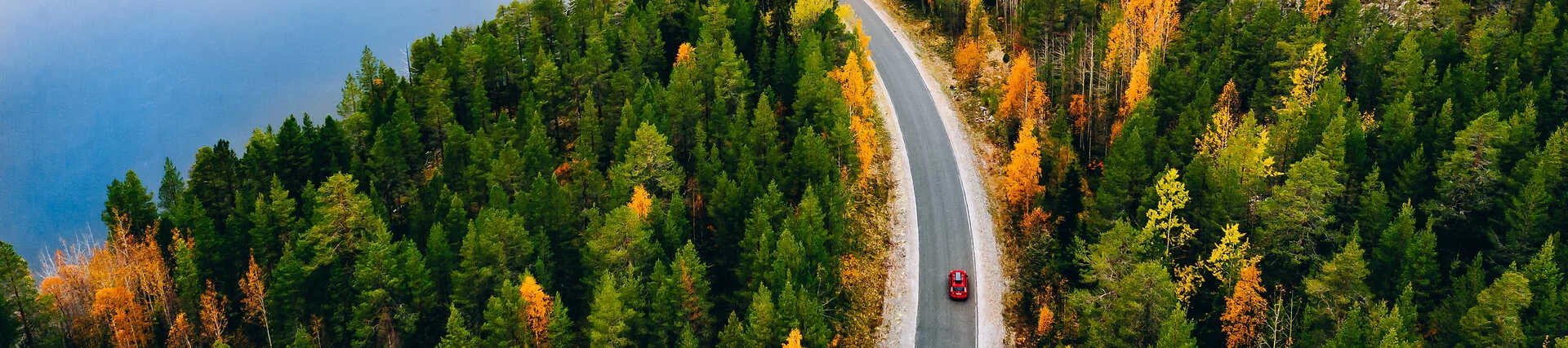 Finnland Roadtrip durch eine bewaldete Landschaft im Herbst..