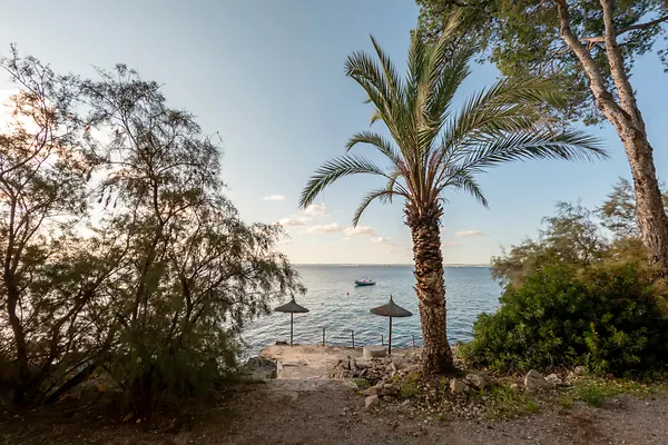 Platja des Coll Baix, Beach in Spain