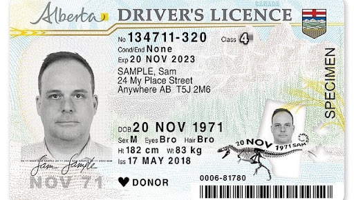 Alberta Driver Information - Lyft Help