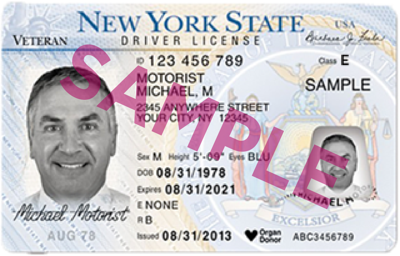 Cette image est un exemple de permis de conduire de New York.