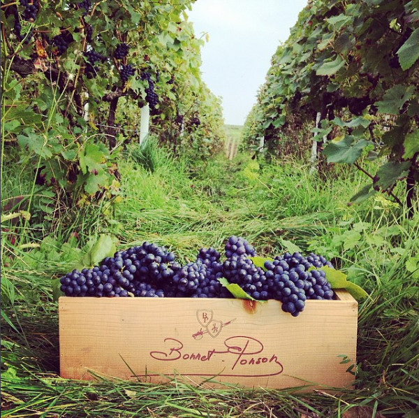 Champagne Bonnet Ponson