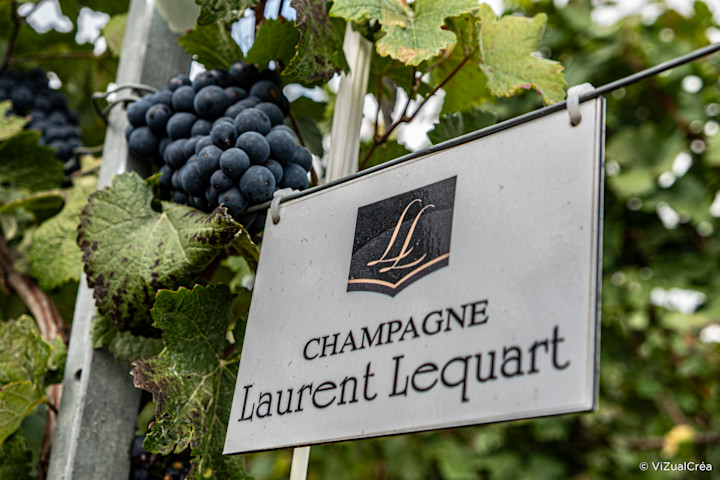 Champagne Laurent Lequart
