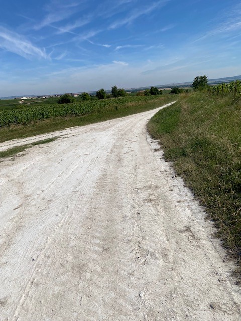 Champagne Henriet-Bazin