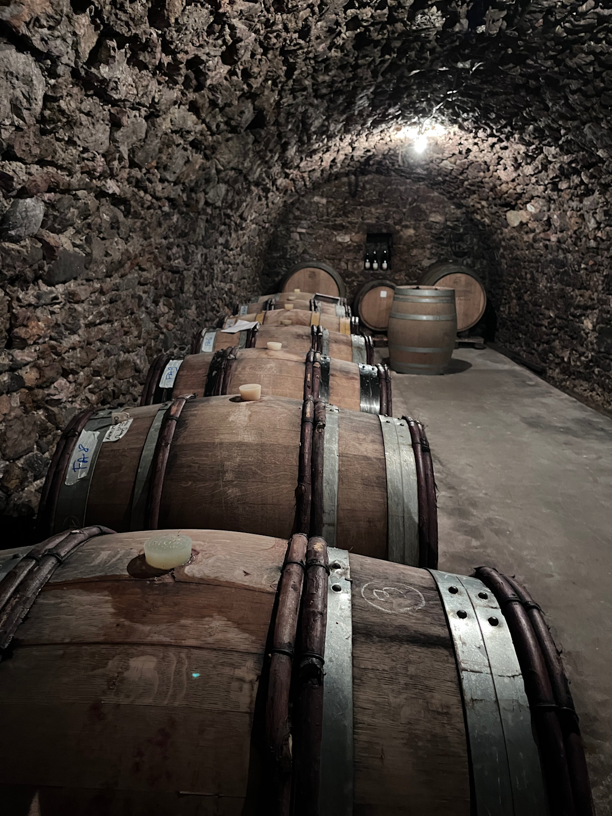 Champagne Perrine Fresne